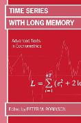 Time Series with Long Memory