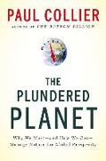 The Plundered Planet