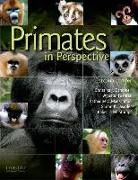 Primates in Perspective