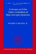 Entropy and the Time Evolution of Macroscopic Systems