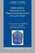 Mathematical Methods for the Magnetohydrodynamics of Liquid Metals