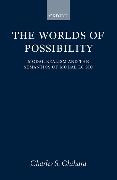 The Worlds of Possibility