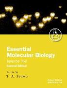 Essential Molecular Biology: A Practical Approach Volume II