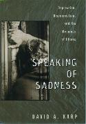 Speaking of Sadness: Depression, Disconnection, and the Meanings of Illness