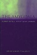 The Amygdala