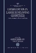 Urbanization in Large Developing Countries: China, Indonesia, Brazil, and India