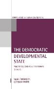 The Democratic Developmental State: Political and Institutional Design