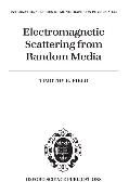 Electromagnetic Scattering from Random Media