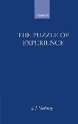 The Puzzle of Experience