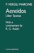 Aeneid: Book 6