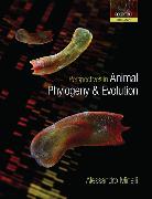 Perspectives in Animal Phylogeny and Evolution