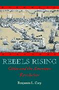 Rebels Rising: Cities and the American Revolution