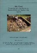Irby, Wirral: Excavations on a Late Prehistoric, Romano-British and Medieval Site, 1987-96
