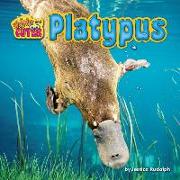 PLATYPUS