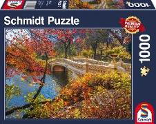 Spaziergang im Central Park, New York, 1.000 Teile Puzzle