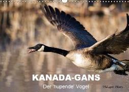 KANADA-GANS - Der 'hupende' Vogel (Wandkalender 2018 DIN A3 quer)
