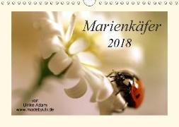 Marienkäfer / 2018 (Wandkalender 2018 DIN A4 quer)