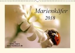 Marienkäfer / 2018 (Wandkalender 2018 DIN A3 quer)