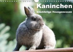 Kaninchen - knuddelige Hausgenossen (Wandkalender 2018 DIN A4 quer)