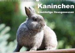 Kaninchen - knuddelige Hausgenossen (Wandkalender 2018 DIN A3 quer)