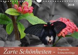 Zarte Schönheiten - Tropische SchmetterlingeCH-Version (Wandkalender 2018 DIN A4 quer)