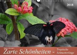 Zarte Schönheiten - Tropische SchmetterlingeCH-Version (Wandkalender 2018 DIN A3 quer)