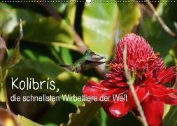 Kolibris, die schnellsten Wirbeltiere der Welt (Wandkalender 2018 DIN A2 quer)
