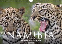 Namibia - Die Tierwelt (Wandkalender 2018 DIN A4 quer)