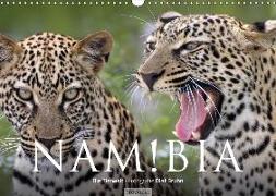 Namibia - Die Tierwelt (Wandkalender 2018 DIN A3 quer)