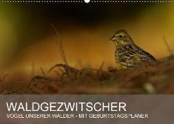 Waldgezwitscher - Vögel unserer Wälder (Wandkalender 2018 DIN A2 quer)