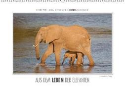 Emotionale Momente: Aus dem Leben der Elefanten. / CH-Version (Wandkalender 2018 DIN A2 quer)