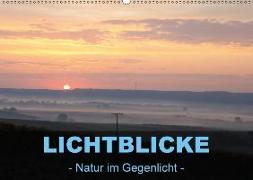 Lichtblicke - Natur im Gegenlicht (Wandkalender 2018 DIN A2 quer)