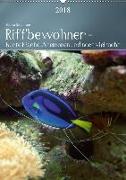 Riffbewohner - Bunte Fische, Anemonen und noch viel mehrAT-Version (Wandkalender 2018 DIN A2 hoch)