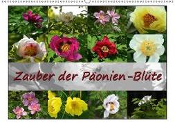 Zauber der Päonien-Blüte (Wandkalender 2018 DIN A2 quer)