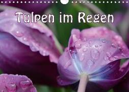 Tulpen im Regen (Wandkalender 2018 DIN A4 quer)