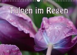Tulpen im Regen (Wandkalender 2018 DIN A3 quer)