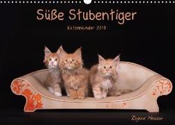 Süße Stubentiger - Katzenkinder (Wandkalender 2018 DIN A3 quer) Dieser erfolgreiche Kalender wurde dieses Jahr mit gleichen Bildern und aktualisiertem Kalendarium wiederveröffentlicht