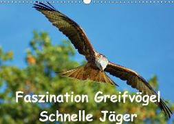 Faszination Greifvögel Schnelle Jäger (Wandkalender 2018 DIN A3 quer)