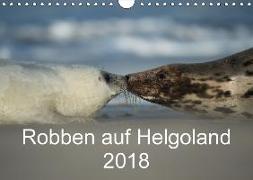 Robben auf Helgoland 2018CH-Version (Wandkalender 2018 DIN A4 quer)