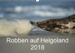 Robben auf Helgoland 2018CH-Version (Wandkalender 2018 DIN A3 quer)