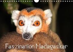 Faszination Madagaskar (Wandkalender 2018 DIN A4 quer)