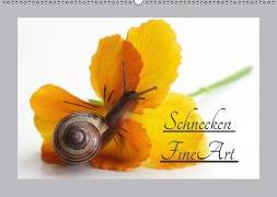 Schnecken FineArt (Wandkalender 2018 DIN A2 quer)