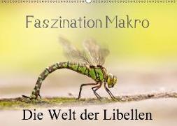Faszination Makro - Die Welt der Libellen (Wandkalender 2018 DIN A2 quer)