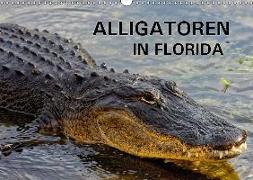 ALLIGATOREN in Florida (Wandkalender 2018 DIN A3 quer)