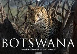 Botswana - Landschaft und Tierwelt (Wandkalender 2018 DIN A2 quer)