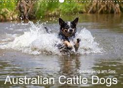 Spaziergang am See Australian Cattle Dogs (Wandkalender 2018 DIN A3 quer)