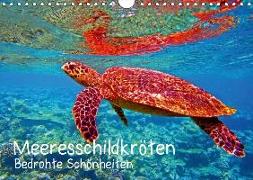 Meeresschildkröten - Bedrohte Schönheiten (Wandkalender 2018 DIN A4 quer)