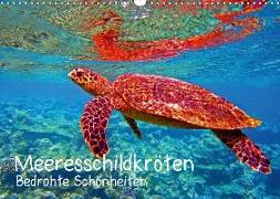 Meeresschildkröten - Bedrohte Schönheiten (Wandkalender 2018 DIN A3 quer)