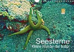 Seesterne - Kleine Wunder der Natur (Wandkalender 2018 DIN A4 quer)