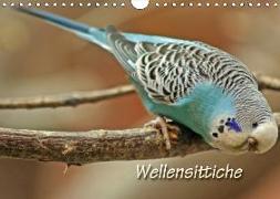 Wellensittiche (Wandkalender 2018 DIN A4 quer)